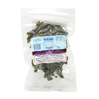 Alga Sea Lettuce (Ulva)