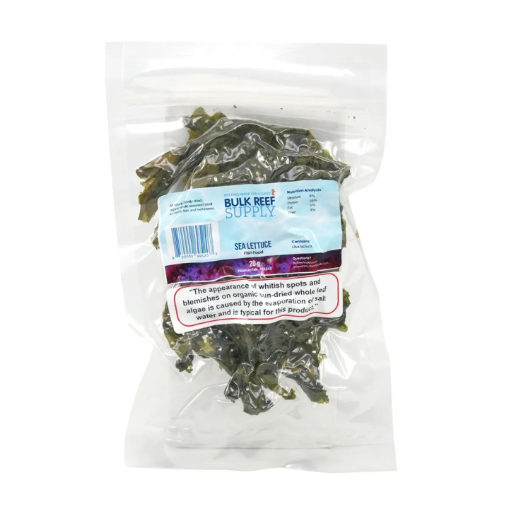Alga Sea Lettuce (Ulva)