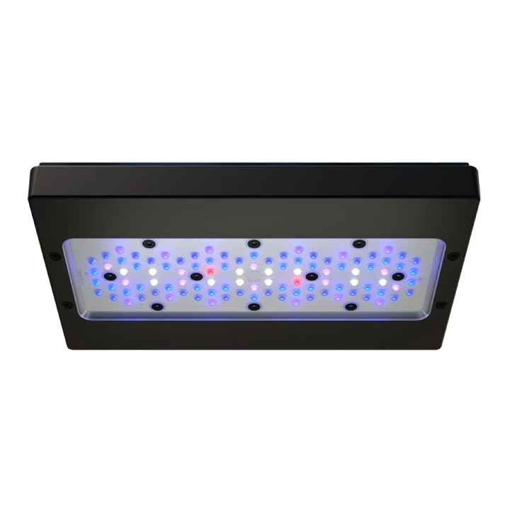 Radion XR30 G6 BLUE