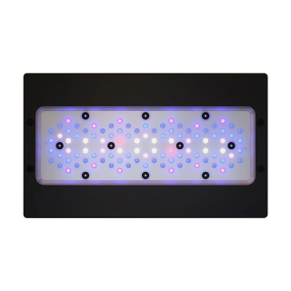 Radion XR30 G6 BLUE