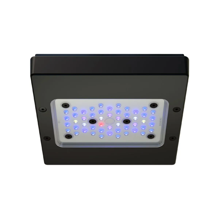 Radion XR15 G6 BLUE