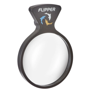 DeepSee Viewer
