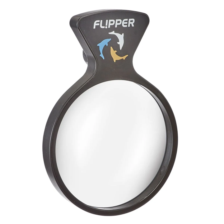 DeepSee Viewer