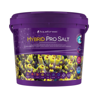 Sal - Hybrid Pro Mix