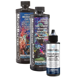 Bacteria - MicroBacter Dry Rock Bacteria Starter Kit