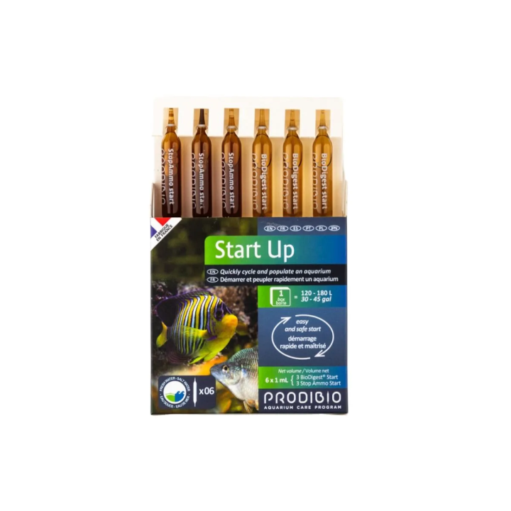 Bacteria para Ciclado - Start Up