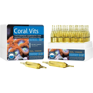 Vitaminas - Coral Vits Coral Multi Vitamin