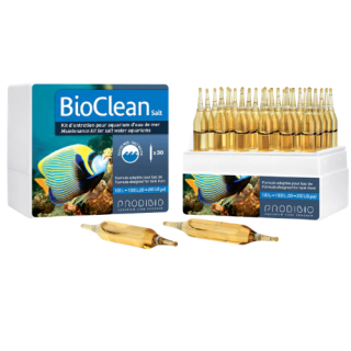 Bacteria - BioClean Maintenance