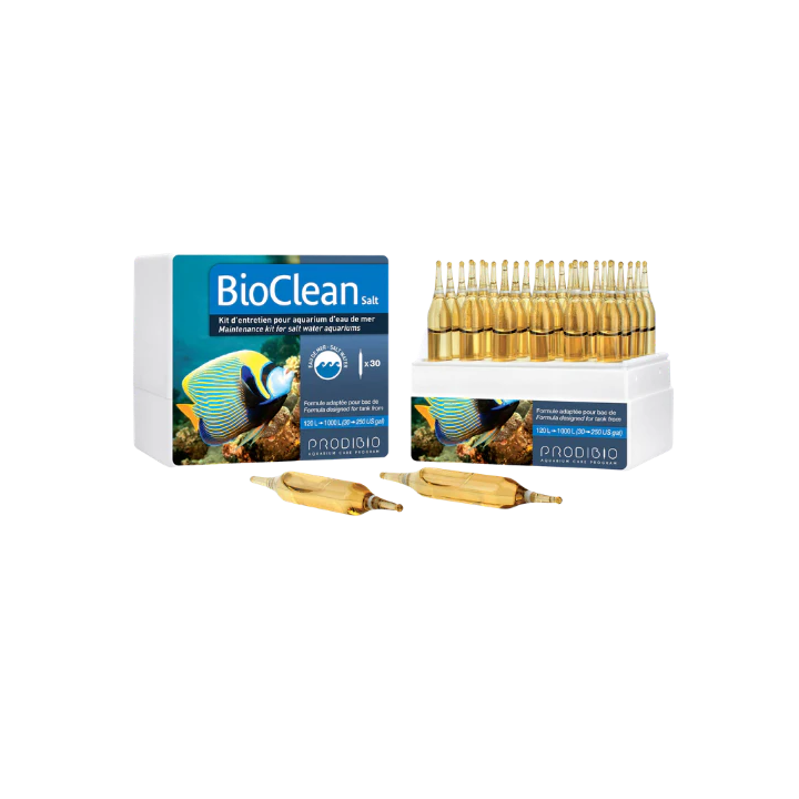 Bacteria - BioClean Maintenance