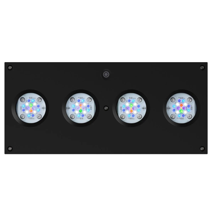 Hydra 64 HD LED Light Fixture