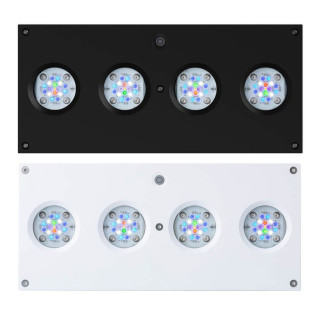 Hydra 64 HD LED Light Fixture