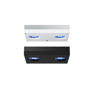 Hydra 32 HD LED Light Fixture
