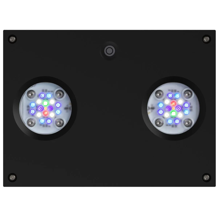 Hydra 32 HD LED Light Fixture
