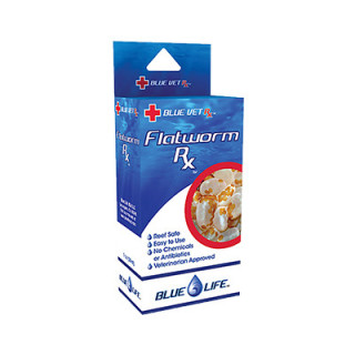 Medicamento para Planarias - Flatworm Rx 30mL