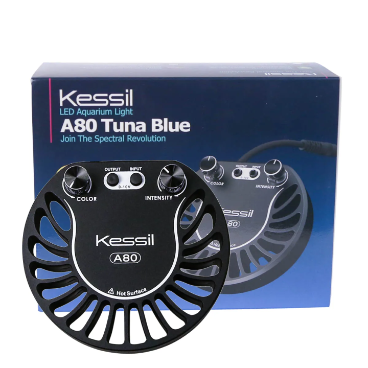 Kessil A80 - Tuna Blue