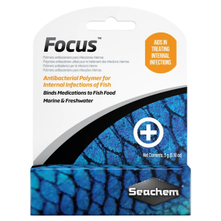 Focus 5gr