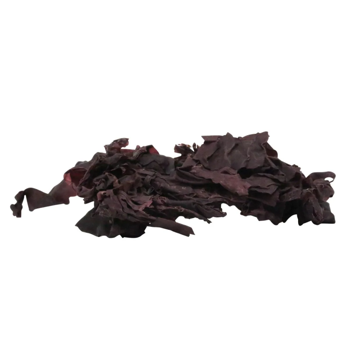 Alga Sea Veggies Red Seaweed