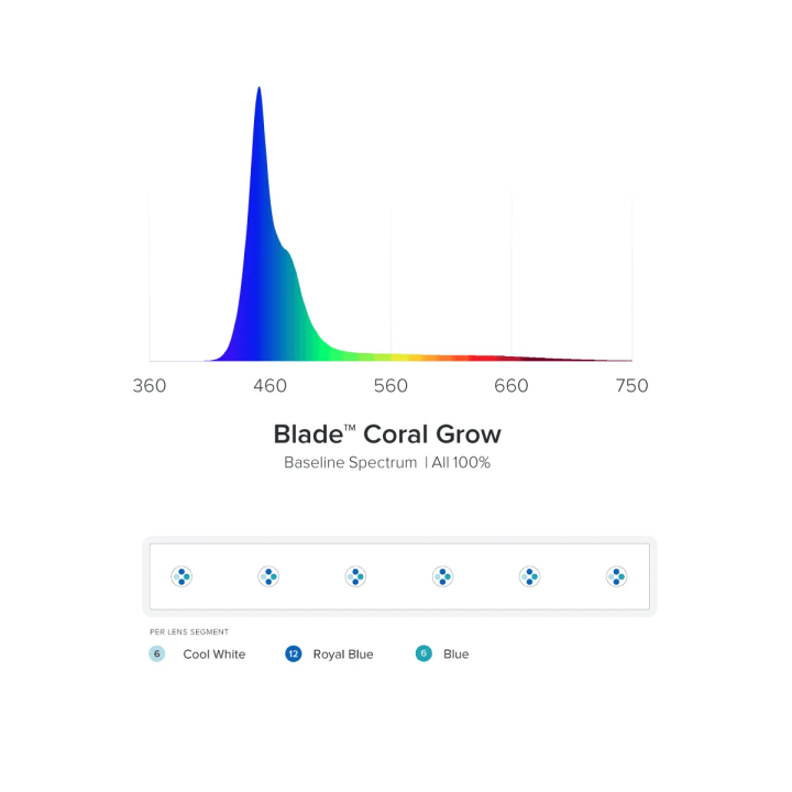 Blade Coral Grow