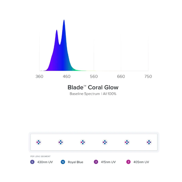 Blade Coral Glow